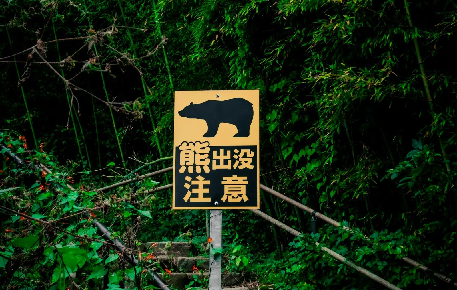 日本山徑旁的黃色告示牌，畫著黑熊剪影，寫著熊出没注意