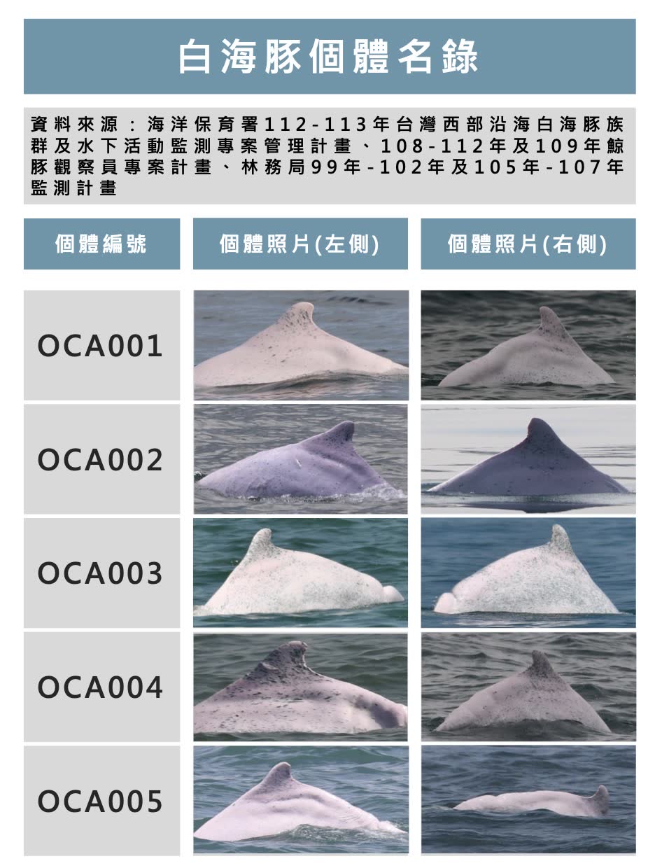 海保署簡報:中華白海豚(台灣白海豚之法定公告用字)野生動物重要棲息環境,109 年 9 月 1 日生效