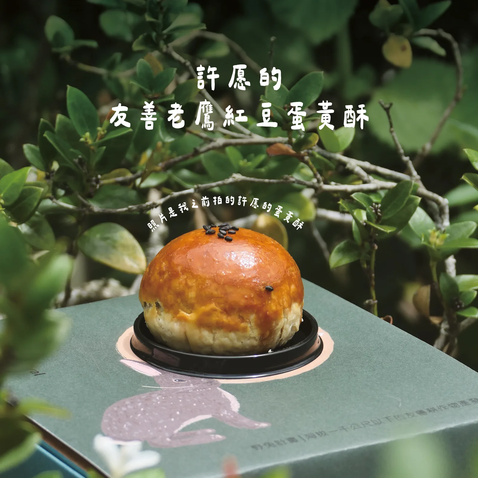 許愿的友善老鷹紅豆蛋黃酥｜兒童永續教育提撥